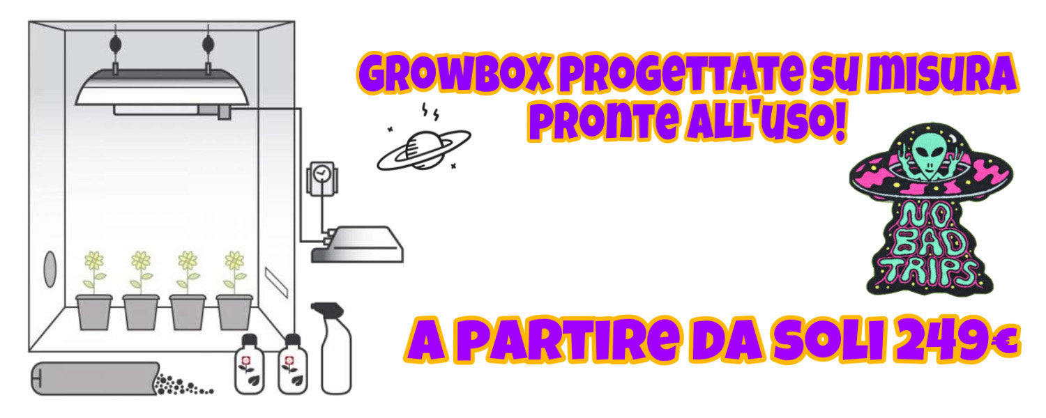 Growbox-pronte-all'uso