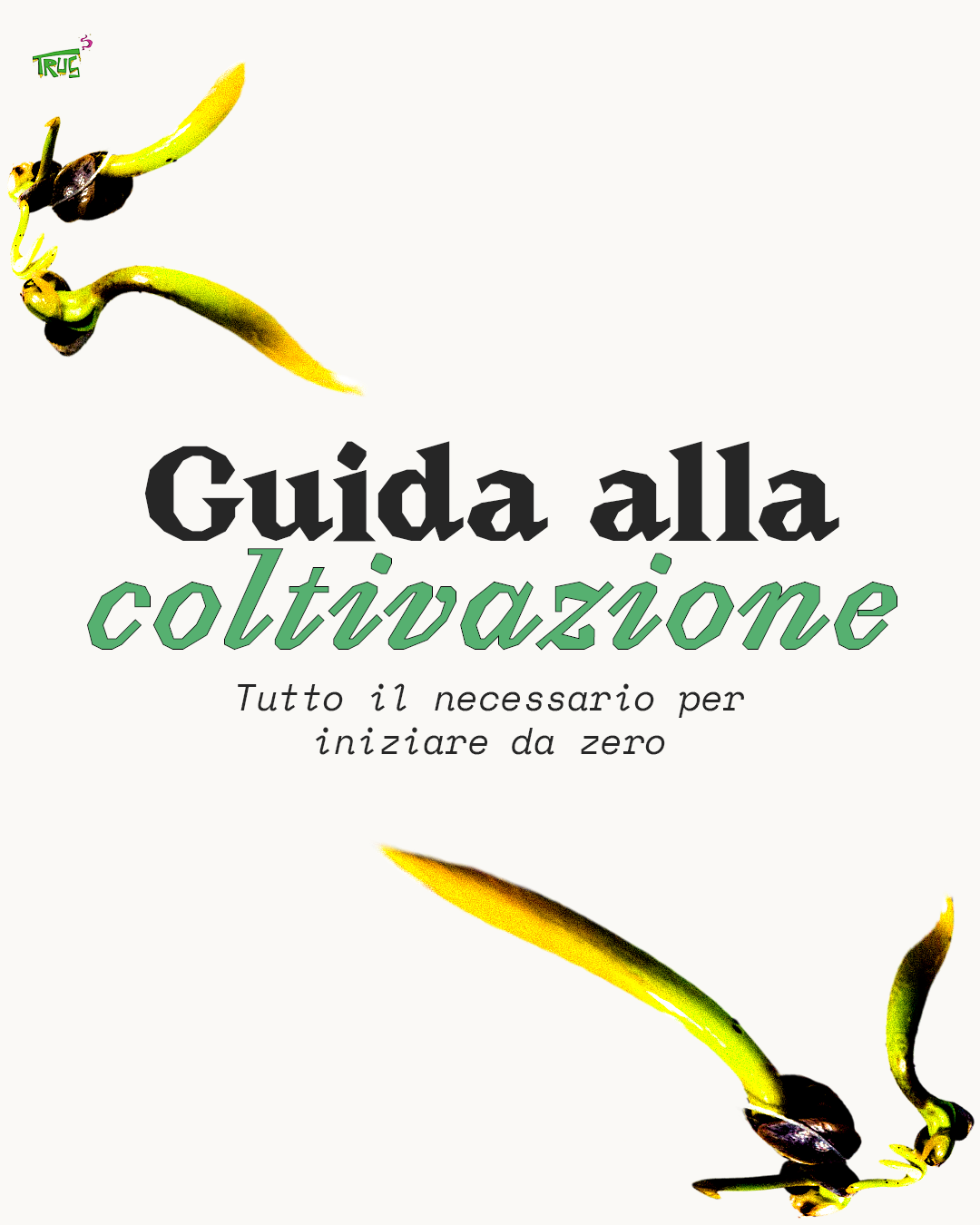 Come utilizzare STARTER PACK | COLTIVAZIONE OUTDOOR BIO