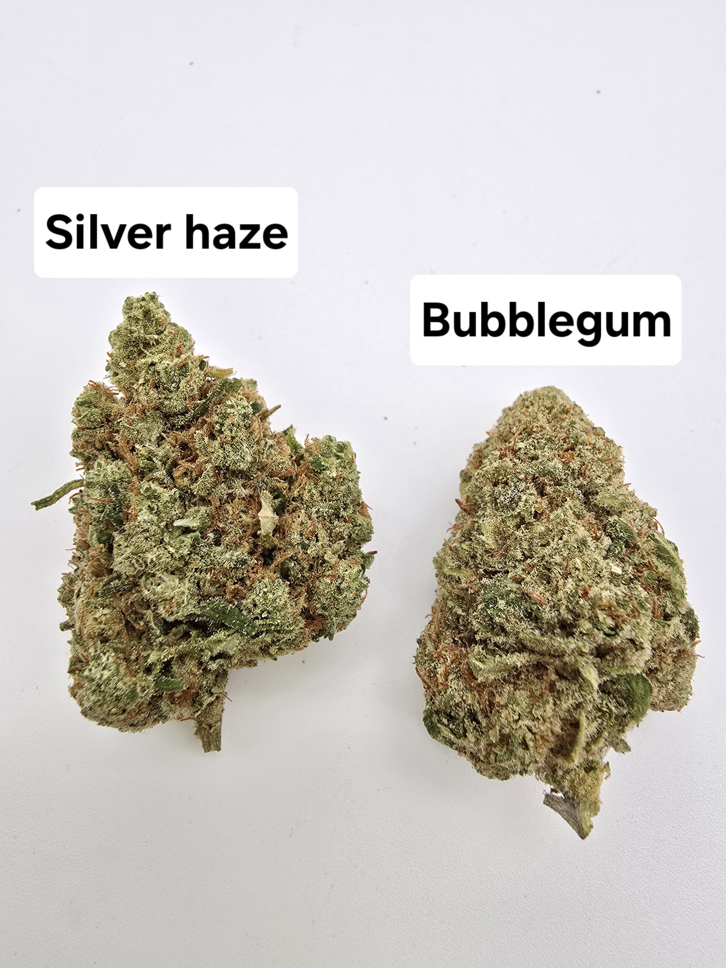 Promo WEED | SILVER & BUBBLEGUM 10GR.