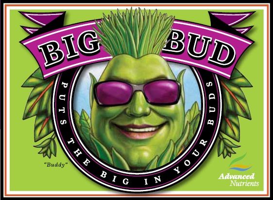Advanced Nutrients - Big Bud | 500mL, 1L