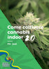 Mr. Jose - Come coltivare cannabis indoor 2.0