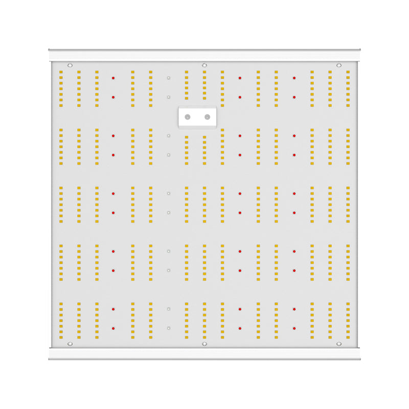 ORTOLED - Quantum Board | 150W